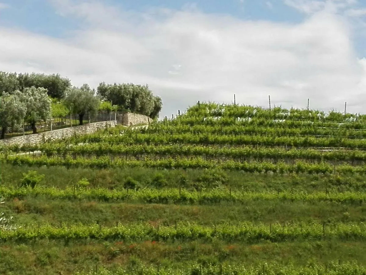 Bed & Breakfast B&B Corte Giare SantʼAmbrogio di Valpolicella